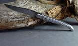 Taschenmesser Laguiole Le Fidèle, Edition M160 grey leopard, Koralle, Damast 520 Lagen, guillochierte Biene Ansicht 1