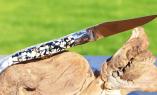 Taschenmesser Laguiole en Aubrac, double platines, brillant, Nougatine Ansicht 1