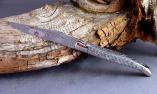 Taschenmesser Laguiole en Aubrac, guillochierte Biene, brillant, Texalium Ansicht 1