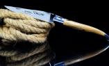 Taschenmesser Laguiole en Aubrac, brillant, Aubrac-Birke, guillochierte Biene Ansicht 1