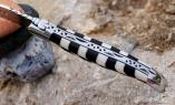 Taschenmesser Laguiole en Aubrac, DAMIER Le JOU 04, brillant, Knochen / Ebenholz, guillochierte Biene Ansicht 1