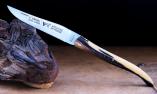Taschenmesser Laguiole Le Fidele,  Plein, Ebenholz-LAOS, brosse, guillochierte Biene Ansicht 1