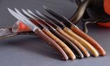 Laguiole Goyon-Chazeau, Edition ART PREMIUM, Plein Manche, 6-teilig, Steakmesserset Divers Ansicht 1