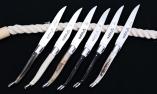 Laguiole en Aubrac 6-teilig Steakmesser Set brillant Horn DIVERS Ansicht 1