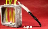 Taschenmesser Laguiole Philippe Voissiere Plein La Belle et la Bete Büffelhorn,brosse, guillochierte Biene Ansicht 1