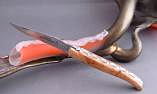 Taschenmesser Laguiole Claude Dozorme, Bijou, Olive, le vent larmes Ansicht 1