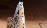 Taschenmesser Laguiole Honore Durand, Freimaurer-Biene 14C28N, Olivenholz, brosse Ansicht 1