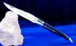 Taschenmesser Laguiole Claude Dozorme, Ebenholz, guillochierte Biene, brillant Ansicht 1