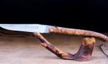 Taschenmesser Laguiole Le Fidele, Edition Plein, stabilisierte Esche, brosse, guillochierte Biene Ansicht 1
