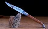 Taschenmesser Laguiole Le Fidele CISELE, stabilisierte Esche, brosse, guillochierte Biene Ansicht 1