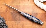 Taschenmesser Laguiole du Barry, Edition blue Scorpion, Mammutbackenzahn, brosse Ansicht 1