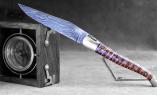 Taschenmesser Laguiole Honore Durand, Mammutbackenzahn, Damastklinge, BROWN STRING , brillant, guillochierte Biene Ansicht 1