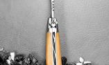 Taschenmesser Laguiole Honore Durand, Freimaurer-Biene 14C28N, Wacholder, brosse Ansicht 1