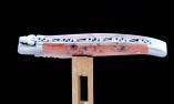 Taschenmesser Laguiole en Aubrac, Pappelholz rot, guillochierte Biene , brosse Ansicht 1