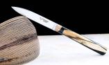 Taschenmesser Laguiole en Aubrac, ESPALION, Edition SCARPON 02, Mammutstosszahn, Plein, brosse Ansicht 1