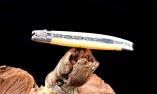 Taschenmesser Laguiole en Aubrac, Edition BRONS 02, Kamelknochen, Damast, guillochierte Biene, brosse Ansicht 1