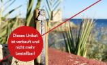 UNIKAT: Taschenmesser Laguiole en Aubrac, Edition MIKE 08, Mammutstoßzahn, jap. Damast, guillochierte Biene, brosse Ansicht 1