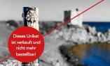 UNIKAT: Taschenmesser Laguiole en Aubrac, Edition DROLEK 02, Mammutstoßzahn, guillochierte Biene, brosse Ansicht 1