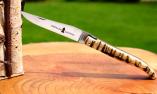 Taschenmesser Laguiole Chevalier, Edition Gawain, Fire Knight, Widderhorn, brosse, Plein, double platines Ansicht 1