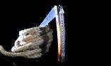 Taschenmesser Laguiole en Aubrac, Edition GORDON Damast, 14 cm, brosse, Plein, Eisenholz Ansicht 1