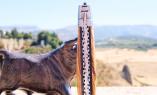 original-laguiole