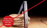 UNIKAT 01: Laguiole-Taschenmesser Laguiole du Barry, Eisenholz, brillant/brosse, plein, guillochierte Biene Ansicht 1