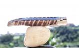 UNIKAT: Taschenmesser Laguiole du Barry, Edition BARRYLOS 12, Mammutbackenzahn, brosse, guillochierte Biene Ansicht 1