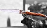 Laguiole-Taschenmesser Armand Cayzac, Edition ARKADIAN 06, Thuja, brosse, guillochierte Biene, DREOS-Griff Ansicht 1