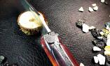 Taschenmesser Laguiole en Aubrac, Edition ARA Papagei, Holunderbaum, guillochierte Biene, Plein Ansicht 1