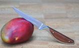 Allzweckmesser/Steakmesser Haute Cuisine, Claude Dozorme, 23 cm Ansicht 1