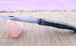 Laguiole Taschenmeser Philipe Voissiere, Mammutbackenzahn schwarz, double platines, brosse Ansicht 1