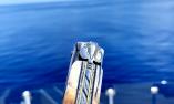 Taschenmesser Chevalier Laguiole Edition WILD LIFE - MAMMUT, Damast, Double Platines, Brillant, Plein Ansicht 1