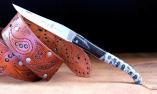 Taschenmesser Chevalier Laguiole Edition WILD LIFE - TIGER, Double Platines, brosse, Plein, Koralle / Horn Ansicht 1