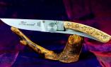Taschenmesser Claude Dozorme, Thiers Liner Lock, Edition Nature BLUMEN, Eiche Ansicht 1
