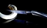 Taschenmesser Goyon-Chazeau Edition STYLVER Horn, brosse Ansicht 1
