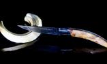Taschenmesser Goyon-Chazeau Edition STYLVER Wacholder, brosse Ansicht 1