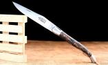 Taschenmesser Laguiole Arbalete Genes David, Edition Classic, Palmenholz  brosse Ansicht 1