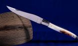 Taschenmesser Laguiole Armand Cayzac, Edition ANNA, Warzenschweinstosszahn, Brillant Ansicht 1