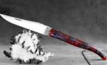 Taschenmesser Laguiole Armand Cayzac, Edition ORTERA 03, Amberbaumblumen, brosse, guillochierte Biene Ansicht 1