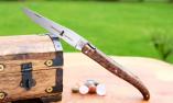 Taschenmesser Laguiole Chevalier, Edition Gawain, Fire Knight, Thuja, brosse, Plein, double platines Ansicht 1