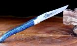 Taschenmesser Laguiole Chevalier, Edition Gawain, Fire Knight, Koralle+Knochen blau, brosse, Plein, double platines Ansicht 1