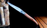 Taschenmesser Laguiole Claude Dozorme, Edition Gravure, Rosenholz, brosse, guillochierte Biene Ansicht 1