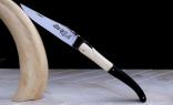 Taschenmesser Laguiole du Barry, BICOL 2, Warzenschwein/Ebenholz/Messing, brosse, guillochierte Biene Ansicht 1