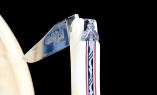 original-laguiole