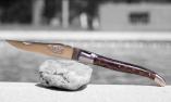 Taschenmesser Laguiole du Barry, Edition ANTROM 05, Wespennest, brosse, guillochierte Biene Ansicht 1