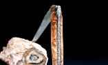 Taschenmesser Laguiole du Barry, Edition BIG OLIVE, Olivenholz, 13 cm, brosse, Plein. guillochierte Biene Ansicht 1