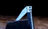 Taschenmesser Laguiole du Barry, Edition Hamburg 1000, Modell BURGFRIEDEN, brillant, guillochierte Biene Ansicht 1