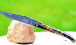 Taschenmesser Laguiole du Barry, guillochierte Biene, Widderhornkruste, Plein, brillant Ansicht 1