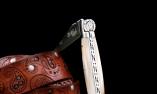 Taschenmesser Laguiole du Barry, Lucky Horse, Horn blond, guillochierte Biene, brosse  Ansicht 1