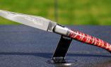 Taschenmesser Laguiole du Barry Mammutbackenzahn, red beauty, double platines, brosse Ansicht 1